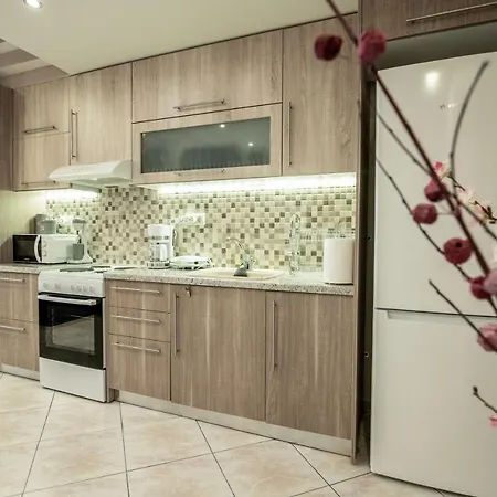 'the Ivory' House Project In Appartement Athènes